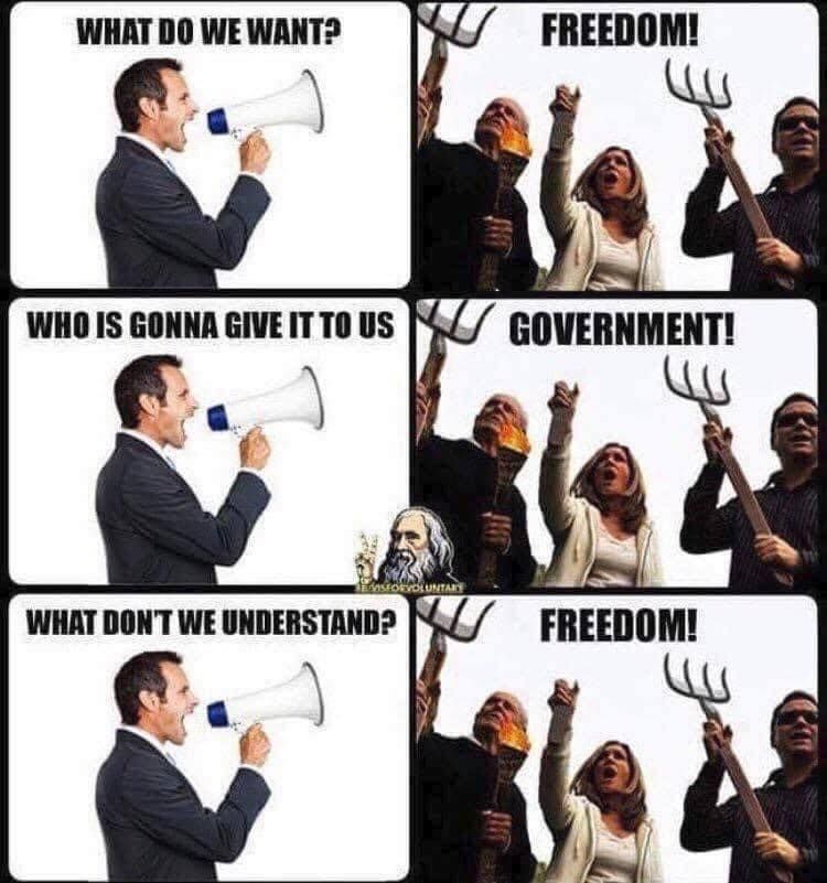 Government and freedom